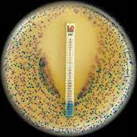 Antimicrobial Susceptibility Testing